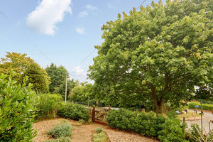 Photo 42- click for photo gallery